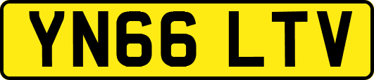 YN66LTV