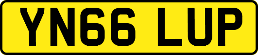 YN66LUP