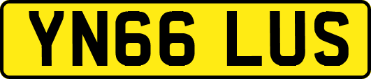 YN66LUS
