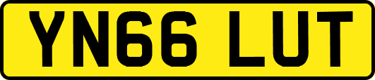 YN66LUT