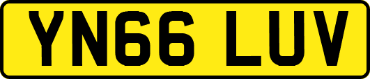 YN66LUV