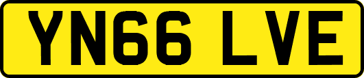 YN66LVE