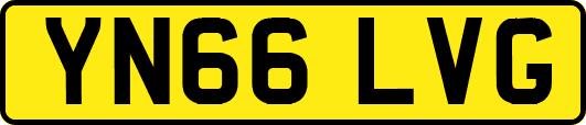 YN66LVG