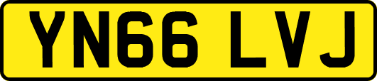 YN66LVJ