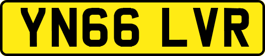YN66LVR