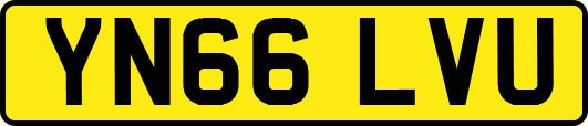 YN66LVU