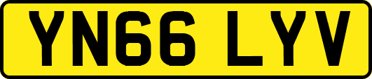 YN66LYV