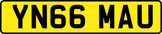 YN66MAU