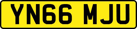 YN66MJU