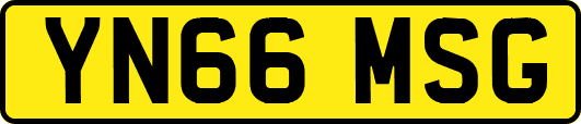 YN66MSG