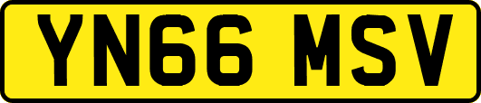 YN66MSV