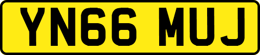 YN66MUJ
