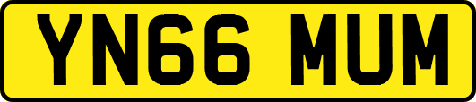 YN66MUM