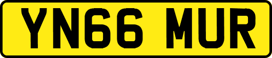 YN66MUR
