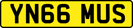YN66MUS