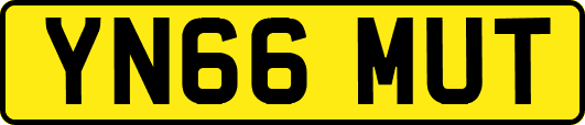 YN66MUT