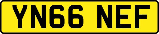YN66NEF