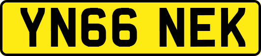 YN66NEK