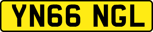 YN66NGL