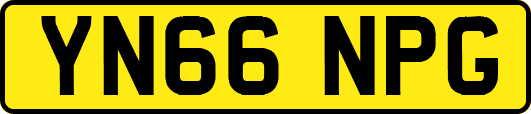 YN66NPG
