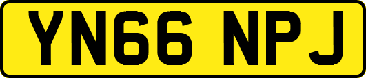 YN66NPJ