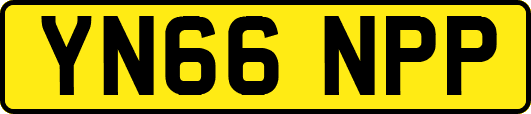 YN66NPP