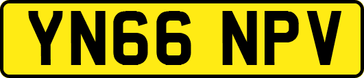YN66NPV