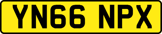 YN66NPX