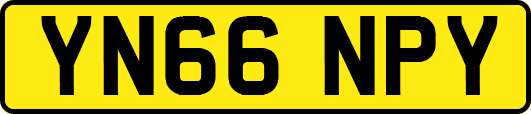 YN66NPY