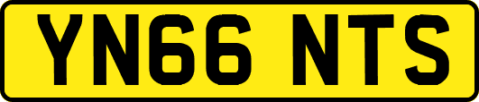 YN66NTS