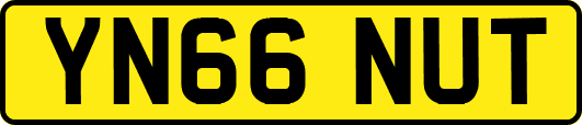 YN66NUT