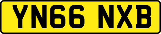 YN66NXB
