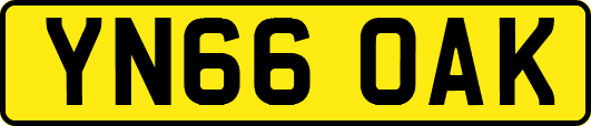 YN66OAK