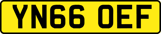 YN66OEF