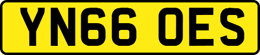 YN66OES