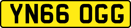 YN66OGG