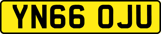 YN66OJU