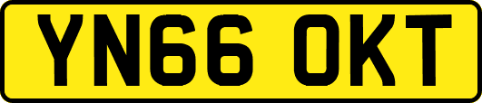 YN66OKT