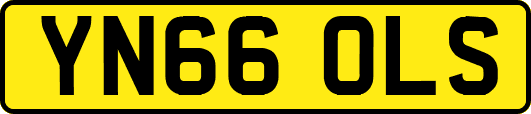 YN66OLS