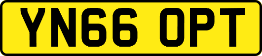 YN66OPT