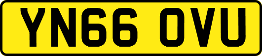 YN66OVU