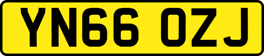 YN66OZJ