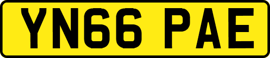 YN66PAE