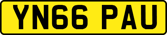 YN66PAU