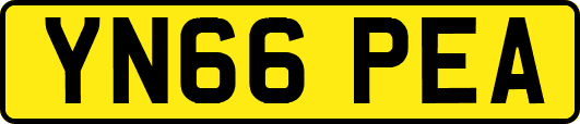 YN66PEA