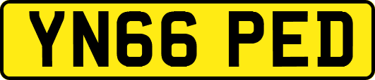 YN66PED