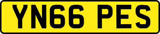 YN66PES