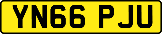 YN66PJU