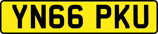 YN66PKU