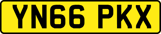 YN66PKX